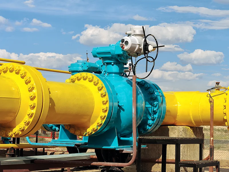 Melemo ea Gate Valve